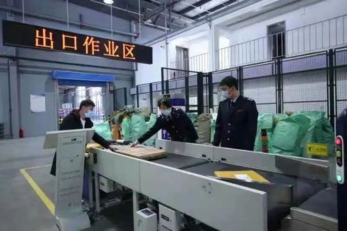 2020年琿春跨境電商一般出口商品貨值8.1億元，億企創(chuàng)助力地方經(jīng)濟(jì)騰飛